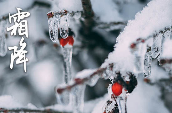 今日霜降祝福语