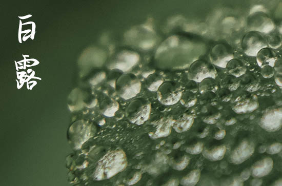 白露是几月几号2024年 2024年白露弄就医可以吗