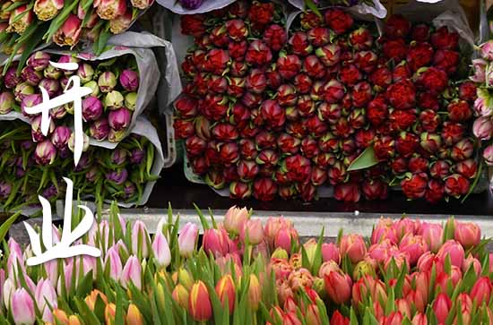 2024属兔农历九月开业吉日一览表 2024农历九月属兔开业吉日