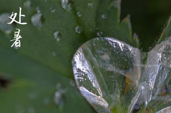 2024年处暑是几月几日 2024年处暑弄挖水井可以吗