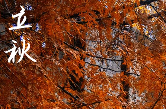 2024年立秋是几点几分几秒 2024年8月7日立秋当天安香好吗