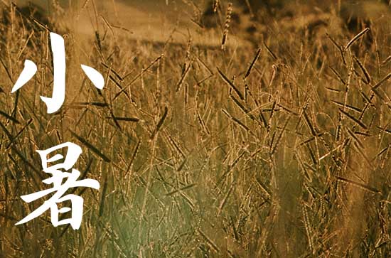 2023小暑入伏还是大暑入伏 小暑大暑是几伏
