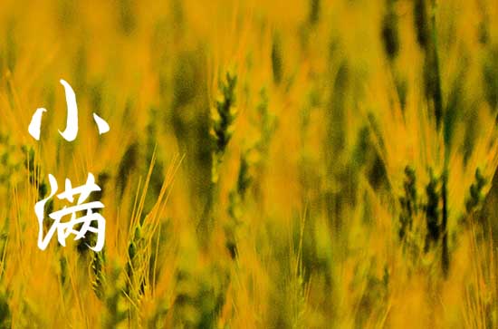 2023小满节气会下雨吗 小满节气下雨有什么说法