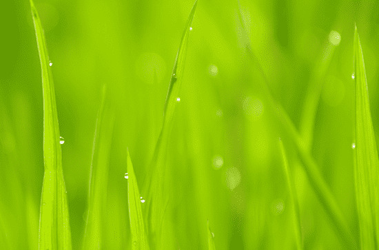 2024年几月几日谷雨 具体几点几分