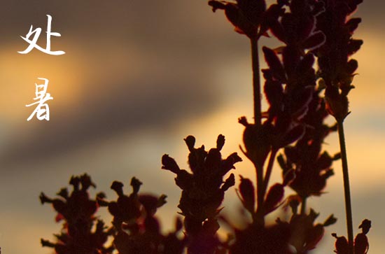 2024年处暑是几点几分几秒 2024年8月22日处暑是进棺材吉日吗