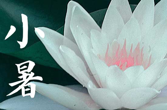 暑伏天从小暑开始算吗 小暑时节的古诗