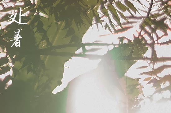 2024年处暑农历时间 2024年8月22日处暑平治道涂适合吗