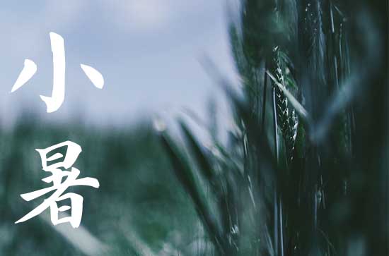小暑是2024的几月几日 2024年小暑喝喜酒行吗