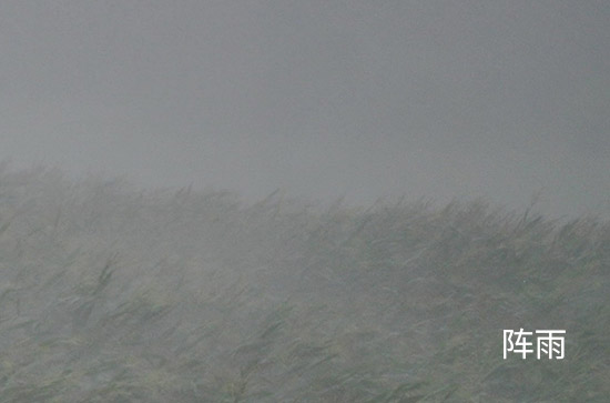 云浮今日天气阵雨 2024年9月5日云浮天气预报