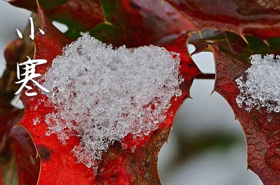 小寒祝福语简短