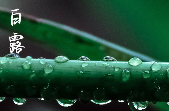 2024年白露是什么时候时间 2024年白露制作房梁可以吗