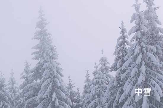 黑河11月4日天气预报:高温-1℃~低温-10℃，中雪转晴，不会下雨