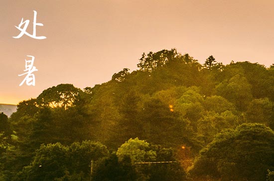 处暑是几月几号2024年 2024年8月22日处暑当天建猪栏好吗