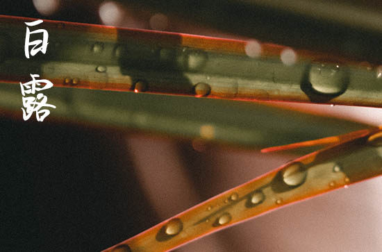 2024年白露是几点几分几秒 2024年白露习艺行不行