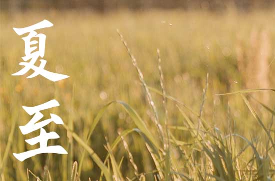 夏至是2024的几月几日 夏至是2024的几月几日