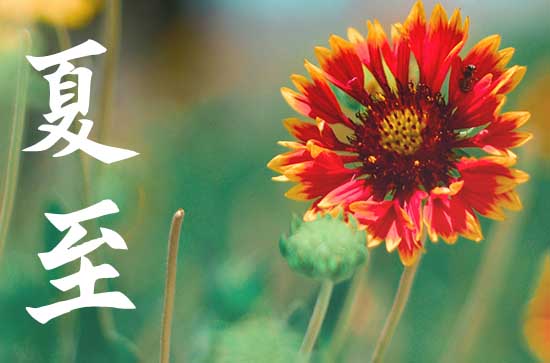 夏至的寓意和象征 夏至注意事项