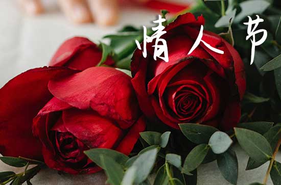 2025年网络情人节办婚礼适合吗 2025年5月20日网络情人节办婚礼可以吗 2025年网络情人节办婚礼适合吗 2025年5月20日网络情人节办婚礼可以吗