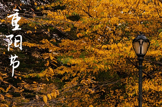 2023年99重阳节是几月几号