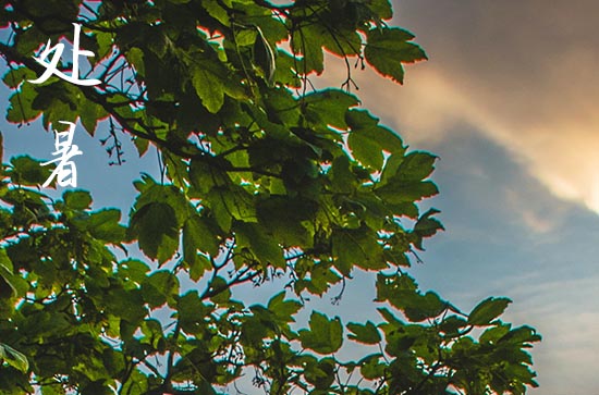 处暑2024年是几月几日星期几 2024年处暑弄办寿宴好不好 处暑2024年是几月几日星期几 2024年处暑弄办寿宴好不好