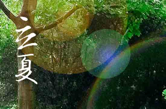 2024年立夏是具体哪一天 2024年5月5日立夏盖楼适合吗 2024年立夏是具体哪一天 2024年5月5日立夏盖楼适合吗