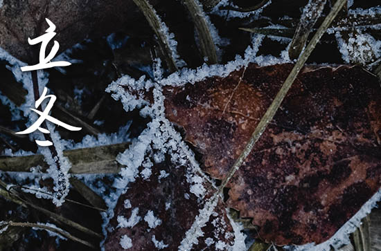 立冬是几月几号2024年 2024年立冬提亲好不好