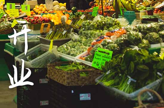 农历九月属狗店铺开张黄道吉日查询 2024年属狗农历九月最佳的店铺开张吉日 农历九月属狗店铺开张黄道吉日查询 2024年属狗农历九月最佳的店铺开张吉日