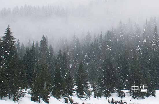 山东12月13日起三天降雪大风降温齐袭 菏泽未来三天天气预报