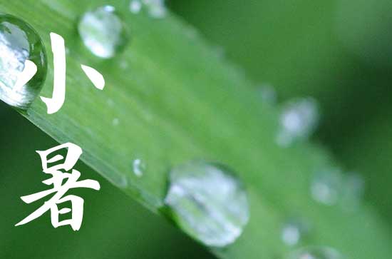 2024小暑是哪一天 2024年小暑是订盟的好日子吗