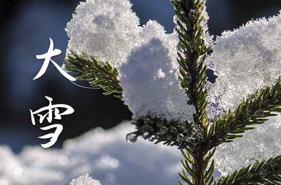 大雪节气祝福语录大全50句精选