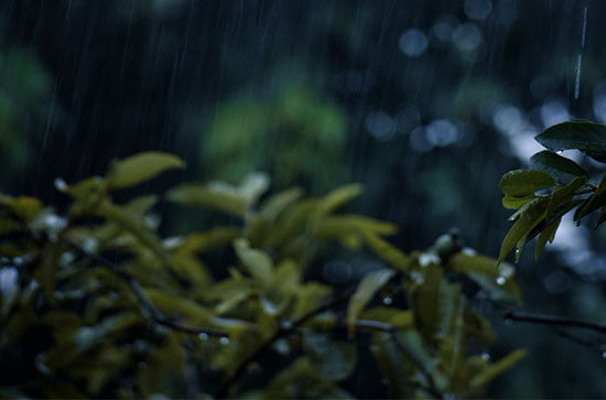 11月6日丽江会下雨 今日小雨温度16℃~9℃