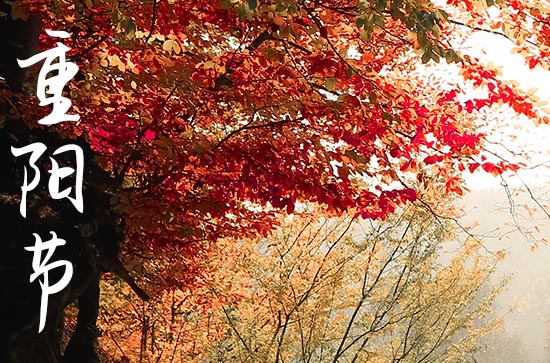 2024年重阳节假期来临 港股10月11日休市1天