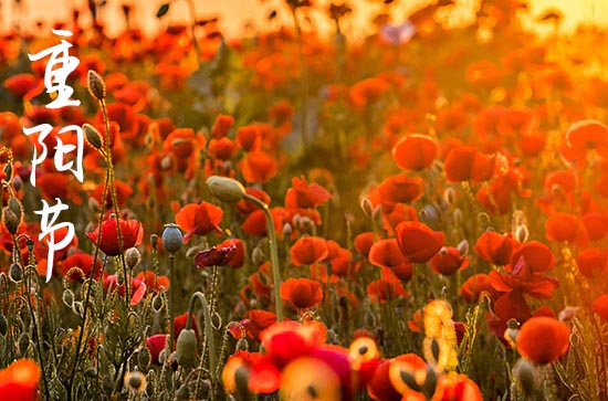 重阳节是为了纪念谁?重阳节是纪念哪位名人