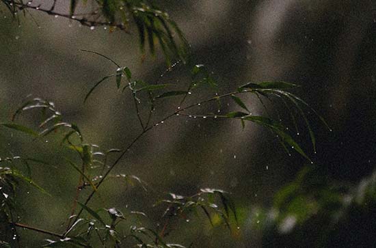 昌都6月11日天气预报:高温25℃~低温6℃，小雨转雨，会下雨