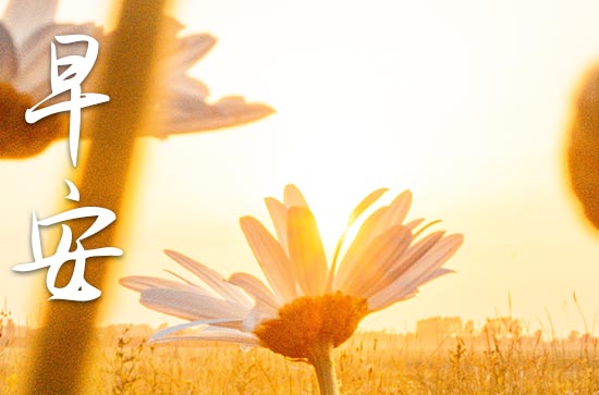 早安2023朋友圈句子说说 早上起床微信问候语大全 早安2023朋友圈句子说说 早上起床微信问候语大全