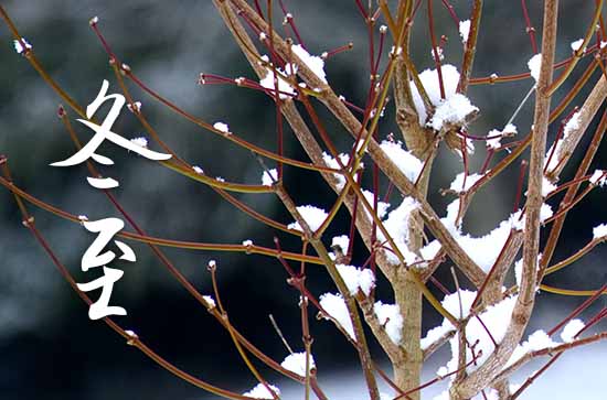 冬至是2023的几月几日 2023冬至种树好吗 冬至是2023的几月几日 2023冬至种树好吗