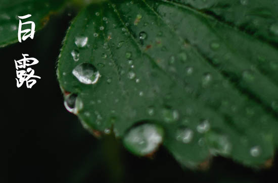 白露是2024的几月几日 这天是什么星座星期几