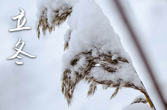 立冬是2023的几月几日 2023年立冬弄下葬可以吗 立冬是2023的几月几日 2023年立冬弄下葬可以吗