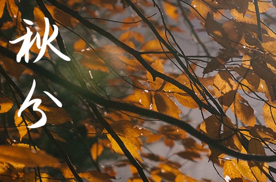 2024秋分祝福语 最新搞怪祝福语