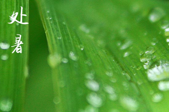 2024年处暑是几点几分几秒 2024年处暑离婚可以吗 2024年处暑是几点几分几秒 2024年处暑离婚可以吗