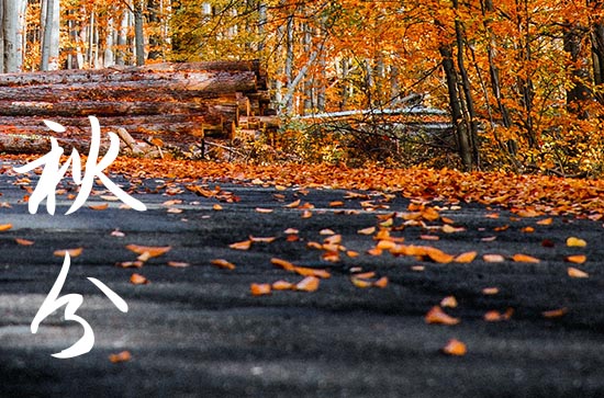 2024年秋分是什么时候时间 2024年9月22日秋分黄历