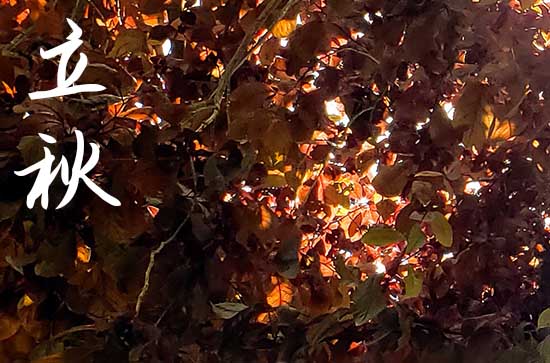 立秋是2024的几月几日 2024立秋是黄道吉日吗 立秋是2024的几月几日 2024立秋是黄道吉日吗