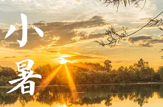 2024年什么时候小暑 2024小暑买牛好吗