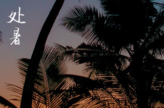 处暑是2024的几月几日 2024年处暑弄除服可以吗 处暑是2024的几月几日 2024年处暑弄除服可以吗