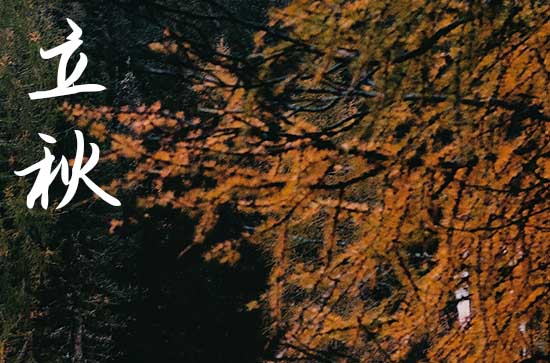 立秋养生吃什么好 适宜立秋时节食用的食谱 立秋养生吃什么好 适宜立秋时节食用的食谱