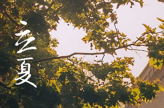 2024年立夏是什么时候时间 2024年立夏弄安放磉石好不好 2024年立夏是什么时候时间 2024年立夏弄安放磉石好不好