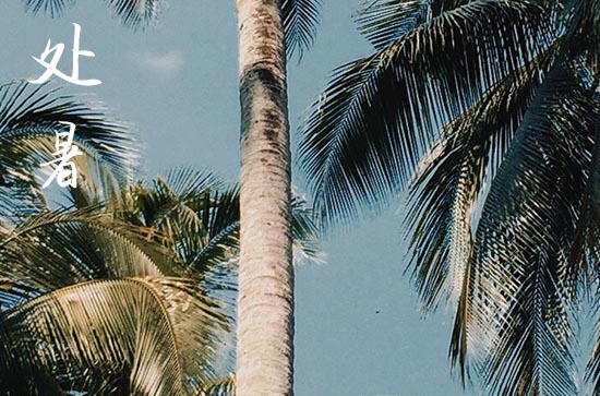 2024年处暑是什么时候 2024年处暑是安装大门门框吉日吗