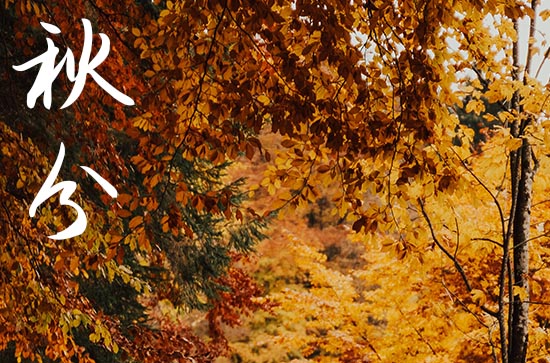 2024年几时几分进入秋分 秋分习俗