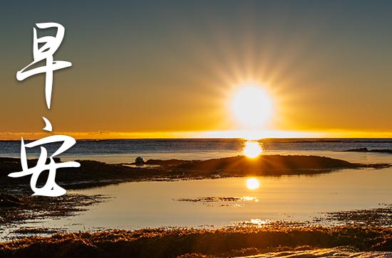 简短的女生早安祝福语录80句