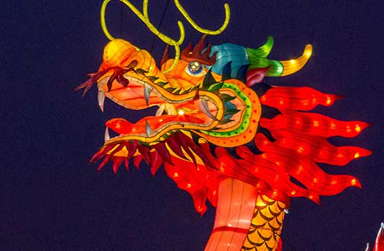 00出生属龙的今年多大年纪2025年