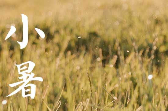 2024年小暑农历时间 2024年小暑可以买车吗